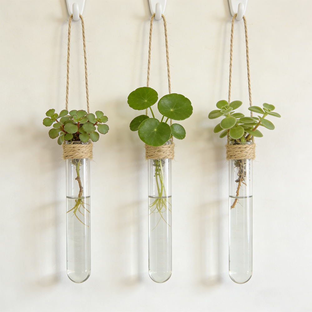 Hanging Planter Basket - Hydroponische bloemenvaas aan de muur gemonteerde