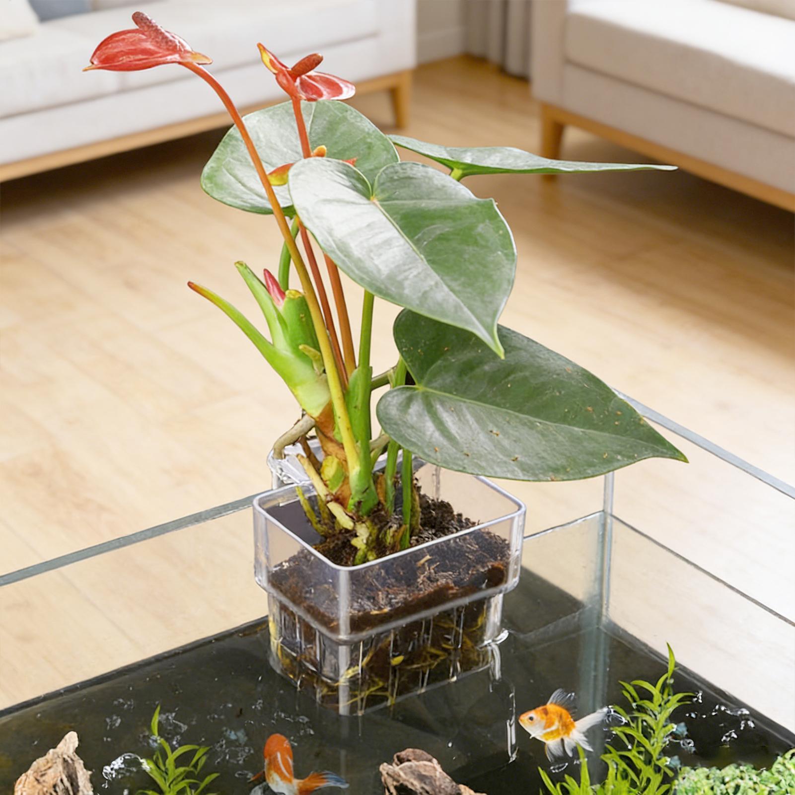 Hanging Planter Basket - Aquariumplantenmand Transparante hangende decoraties voor de