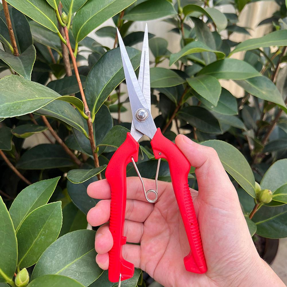 Gardening Tools Basic - Pro Garden snoeischaar Verlengde boom- en