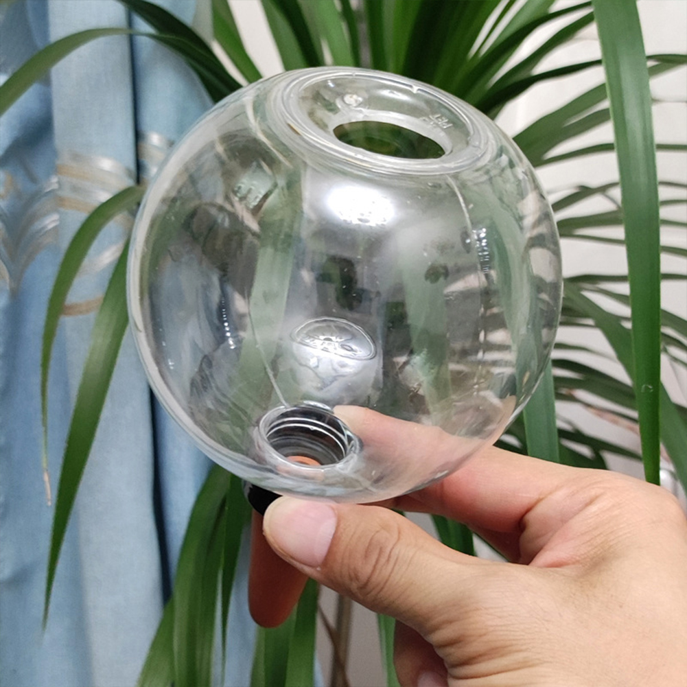 500ML Zelfwatergevende Globes  - Automatic Plant Waterer recensie en prijs