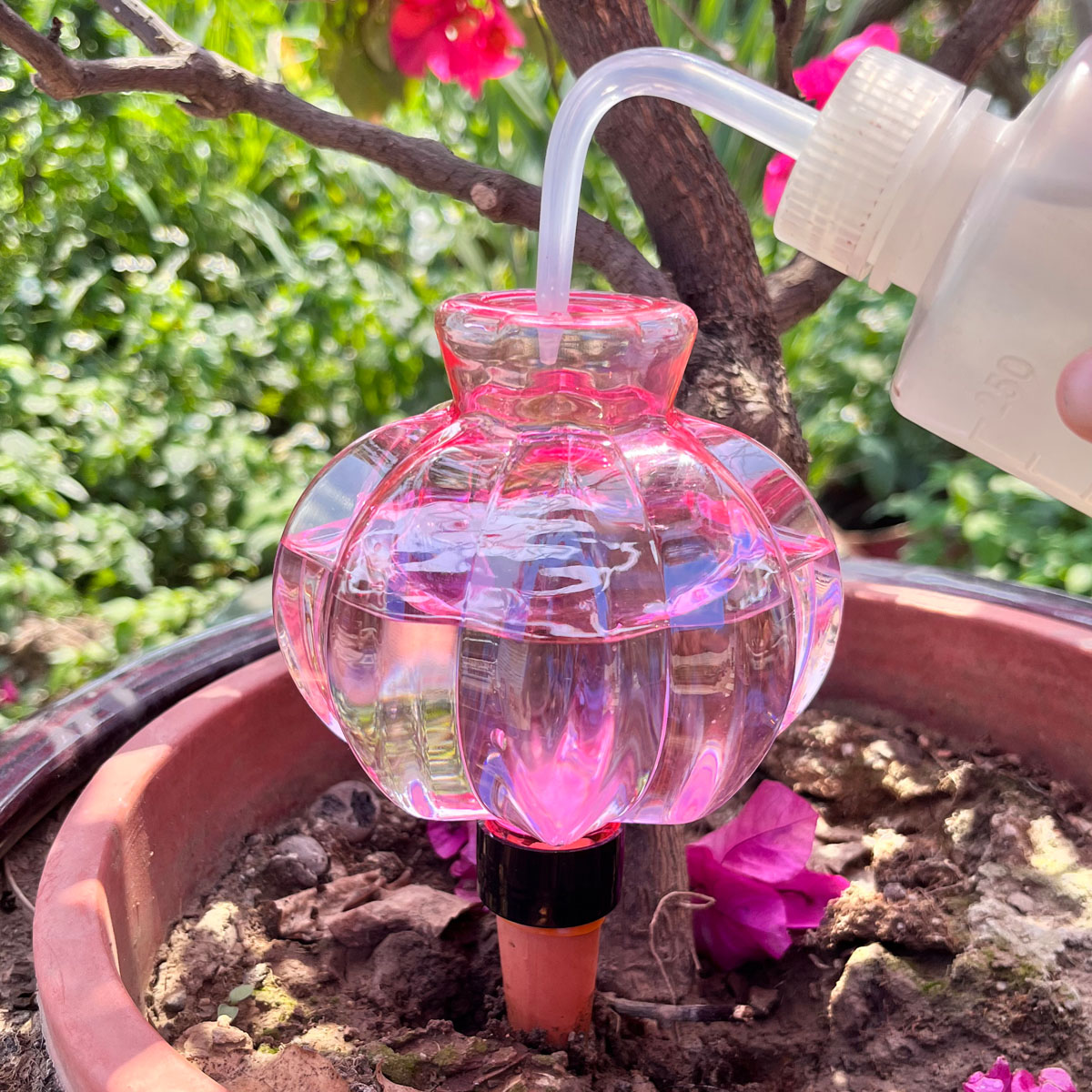 2 stuks zelfwatergevende drupp - Automatic Plant Waterer recensie en prijs