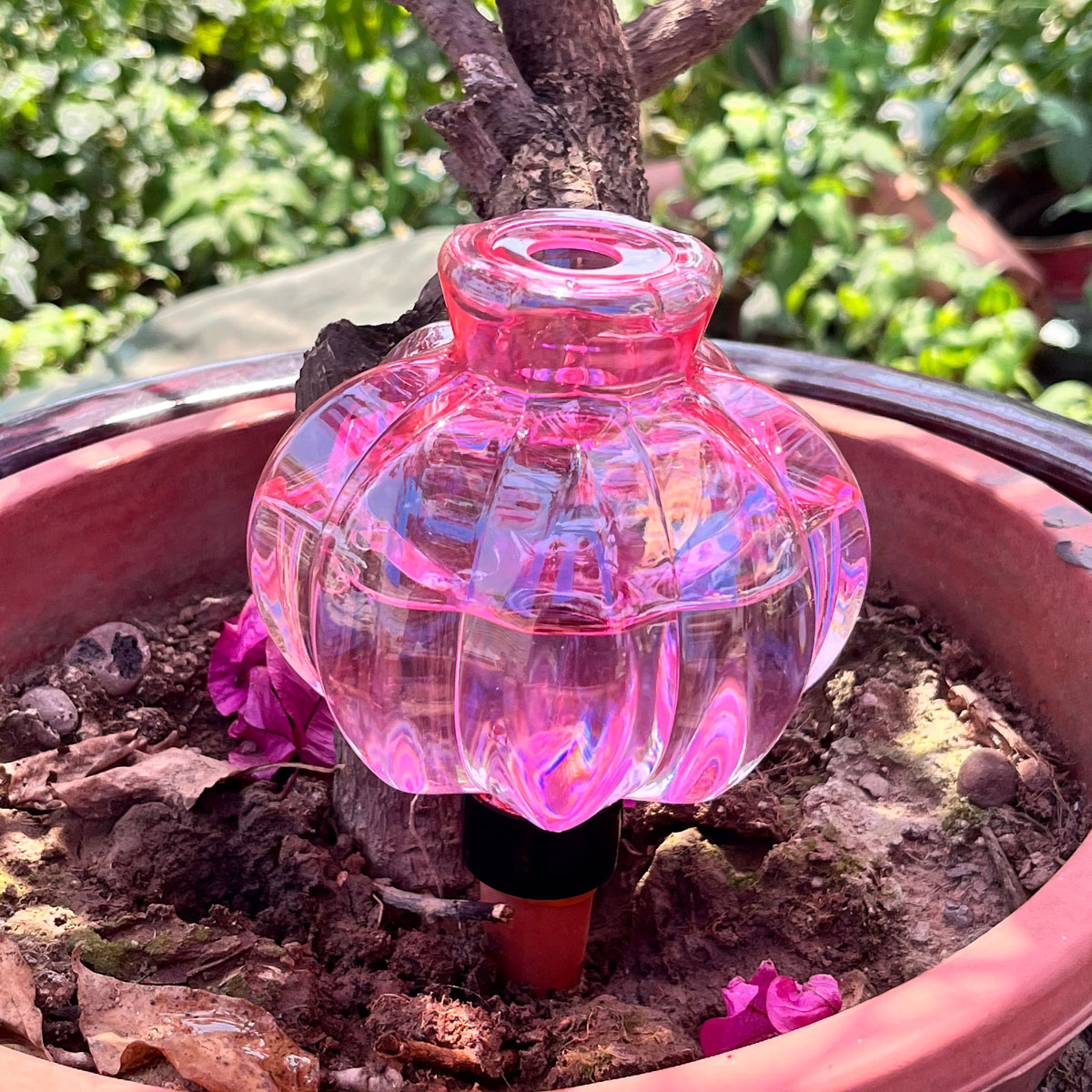 2 stuks zelfwatergevende drupp - Automatic Plant Waterer recensie en prijs