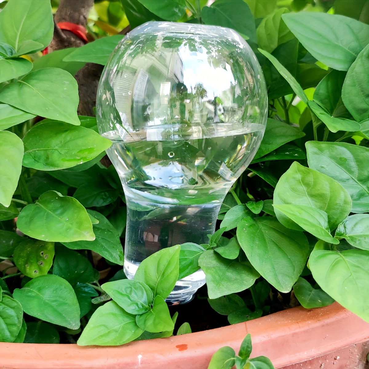 Tuin Automatische Watergift To - Gardening Tools Water recensie en prijs