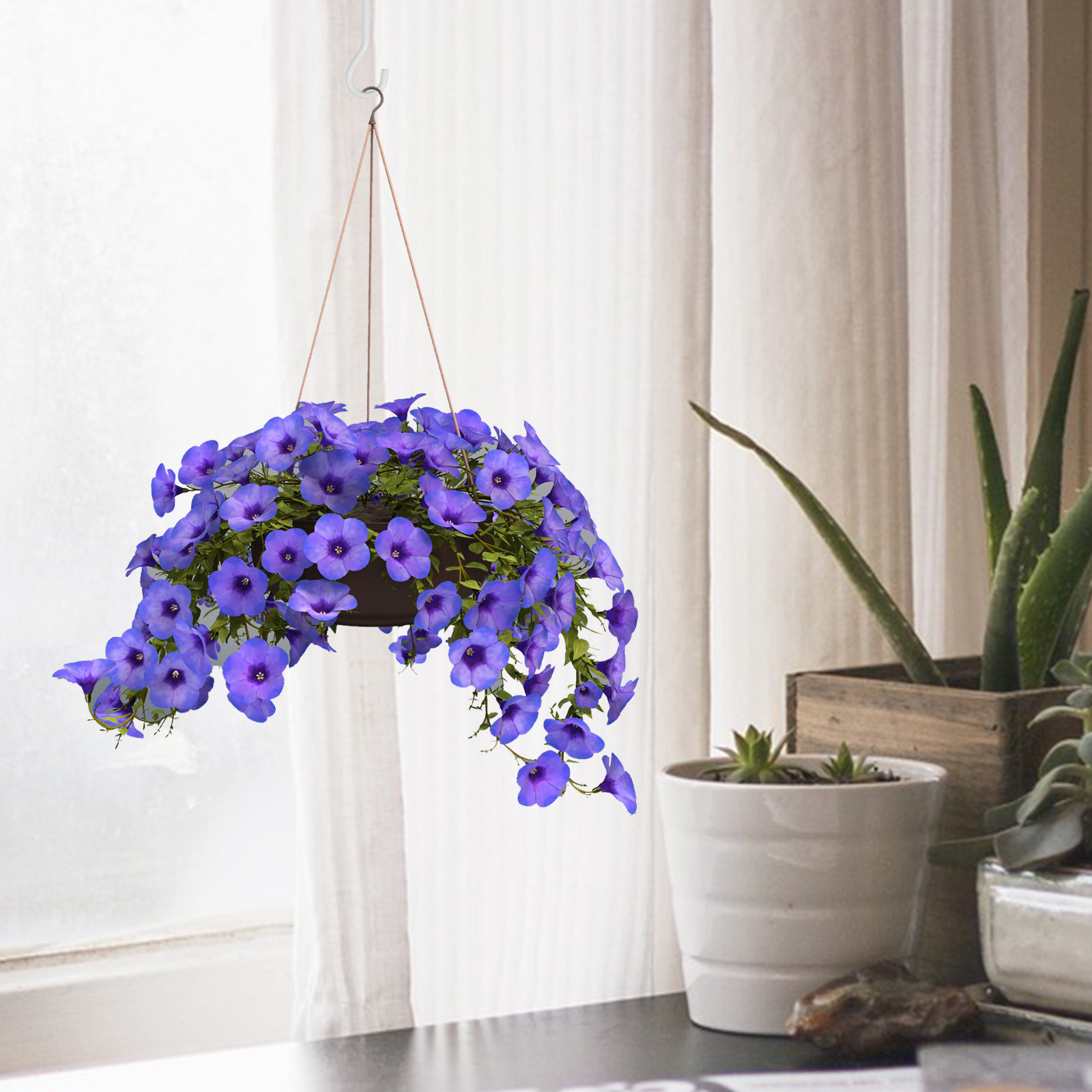 2 sets plafondhaken voor het o - Hanging Planter Basket recensie en prijs