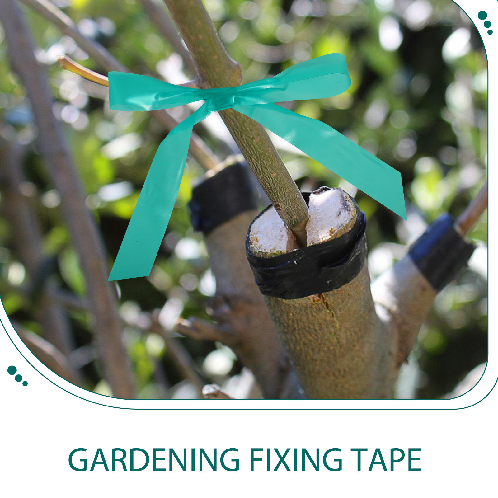 2 Rollen Tuinbindband Rekbaar  - Grafting Tape recensie en prijs