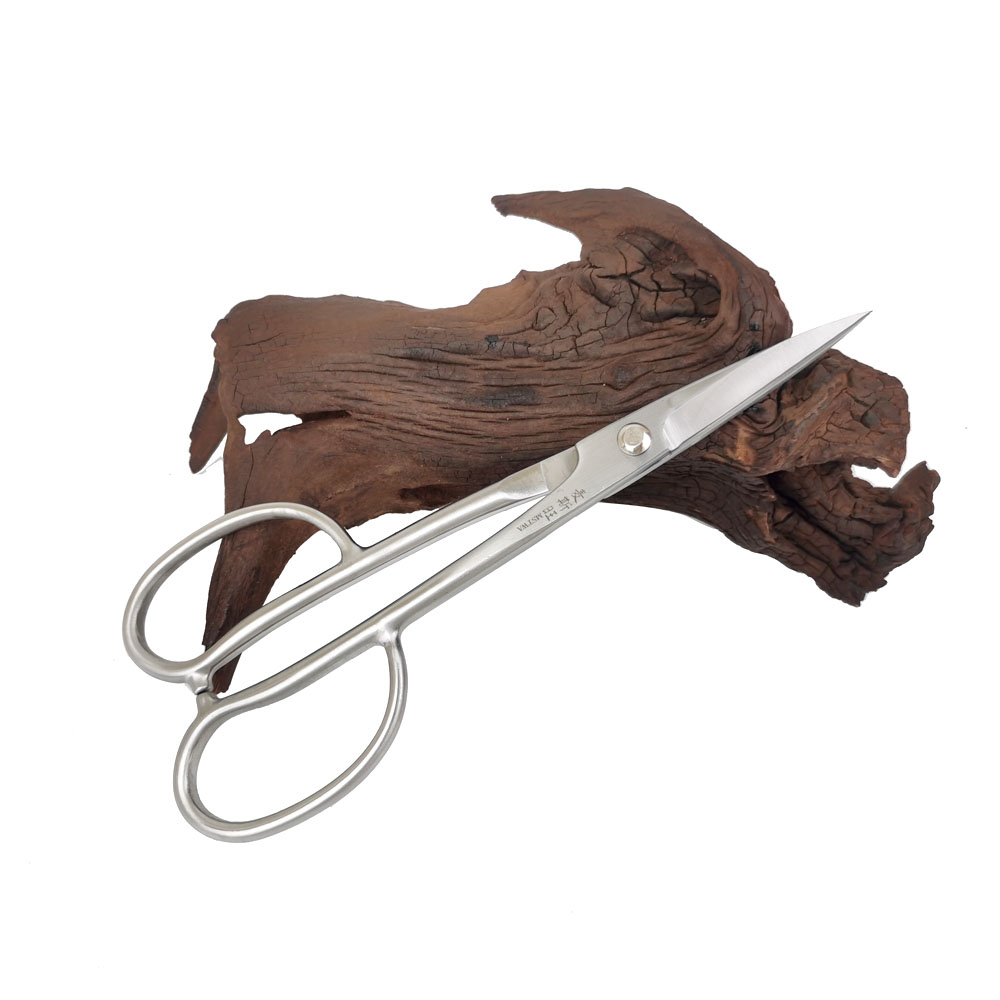 210mm Rvs Teennagel Schaar Lan - Gardening Tools Unique recensie en prijs