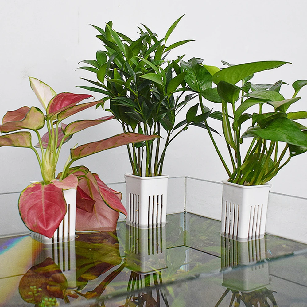 1PC Aquarium Hydrocultuur Plan - Hanging Planter Basket recensie en prijs