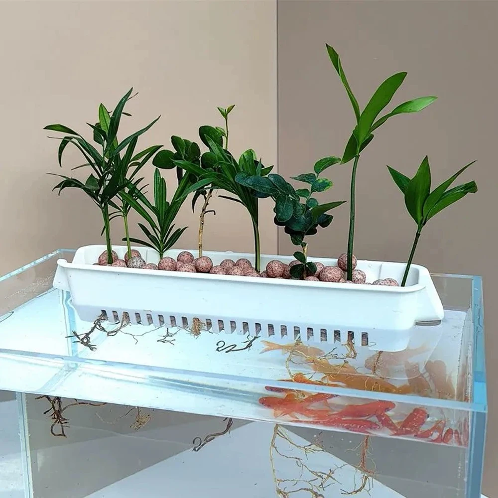 1PC Aquarium Hydrocultuur Plan - Hanging Planter Basket recensie en prijs