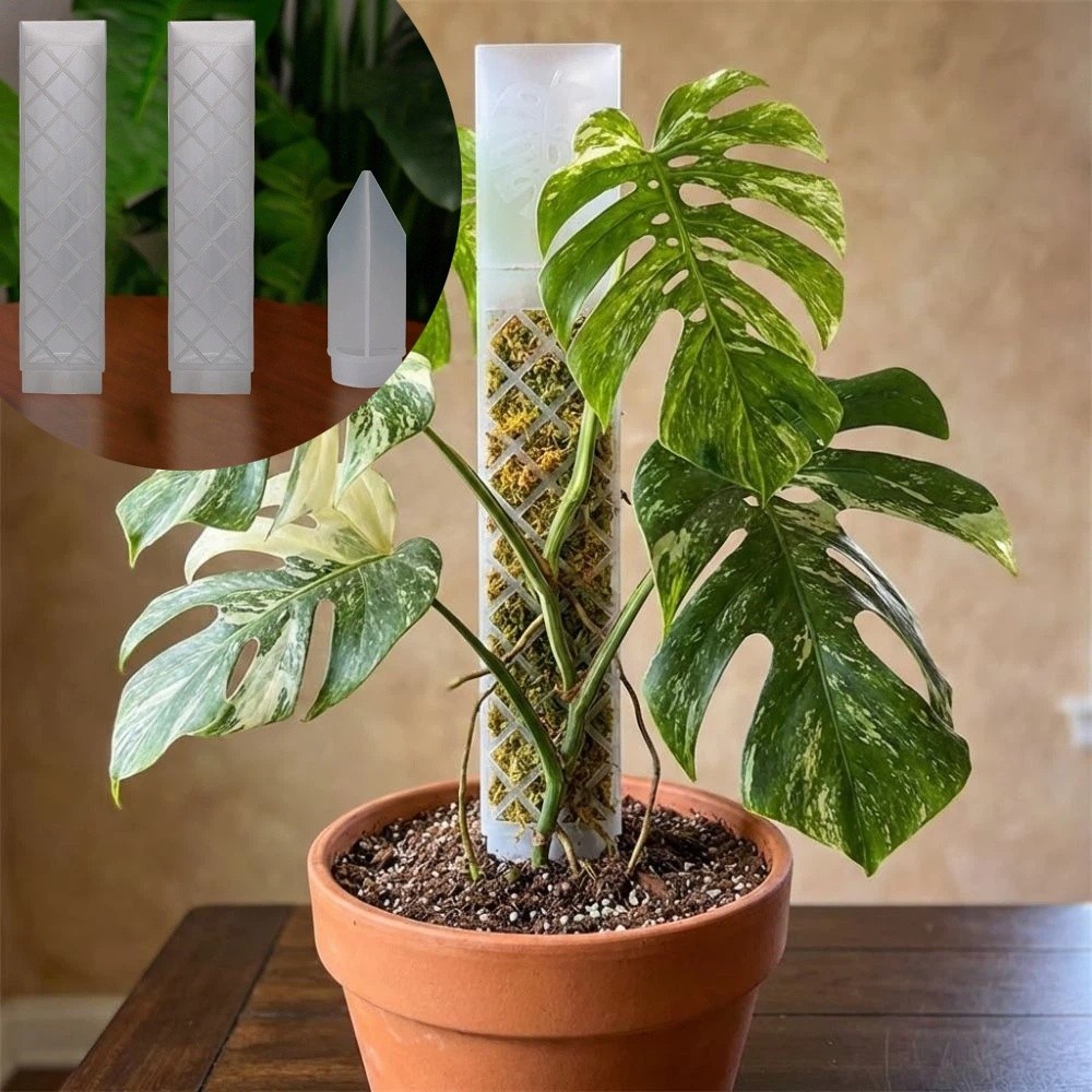 D-vormige zelfwatergevende pla - Automatic Plant Waterer recensie en prijs