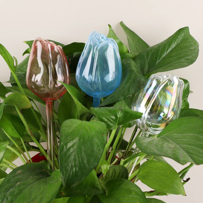 1 stuk glazen plantenwaterer,  - Automatic Plant Waterer recensie en prijs