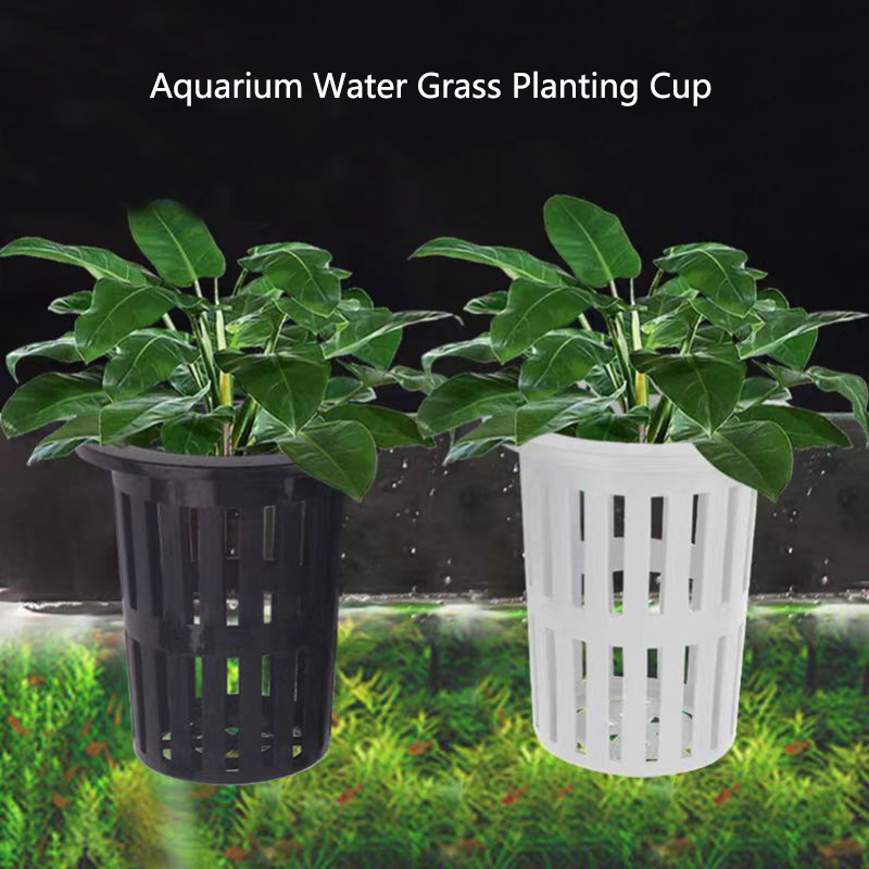 1/3 Stuks Aquarium Plant Mand  - Hanging Planter Basket recensie en prijs