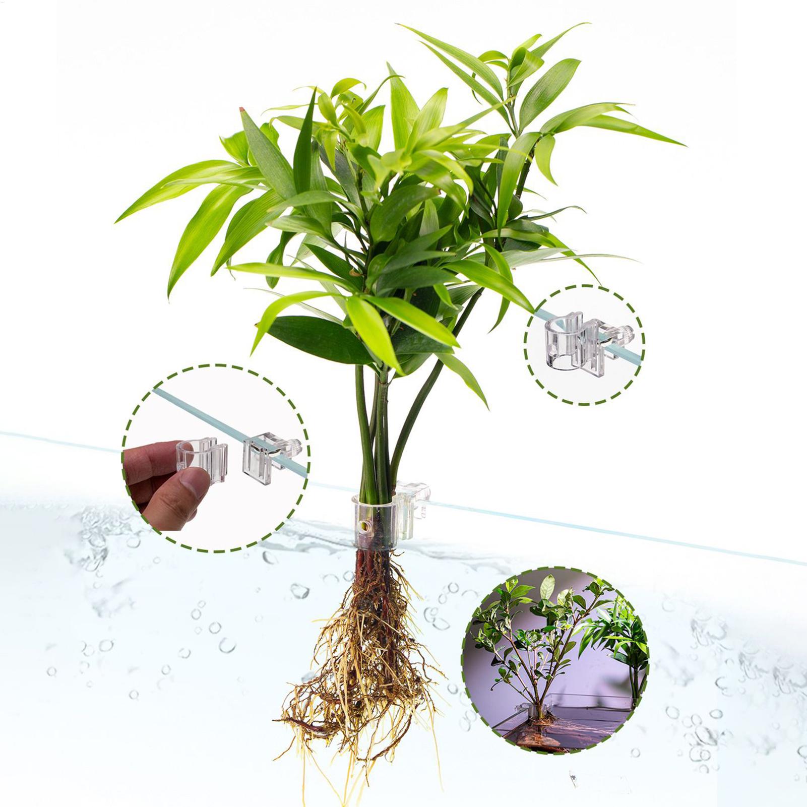 Aquariumplantenmand Transparan - Hanging Planter Basket recensie en prijs