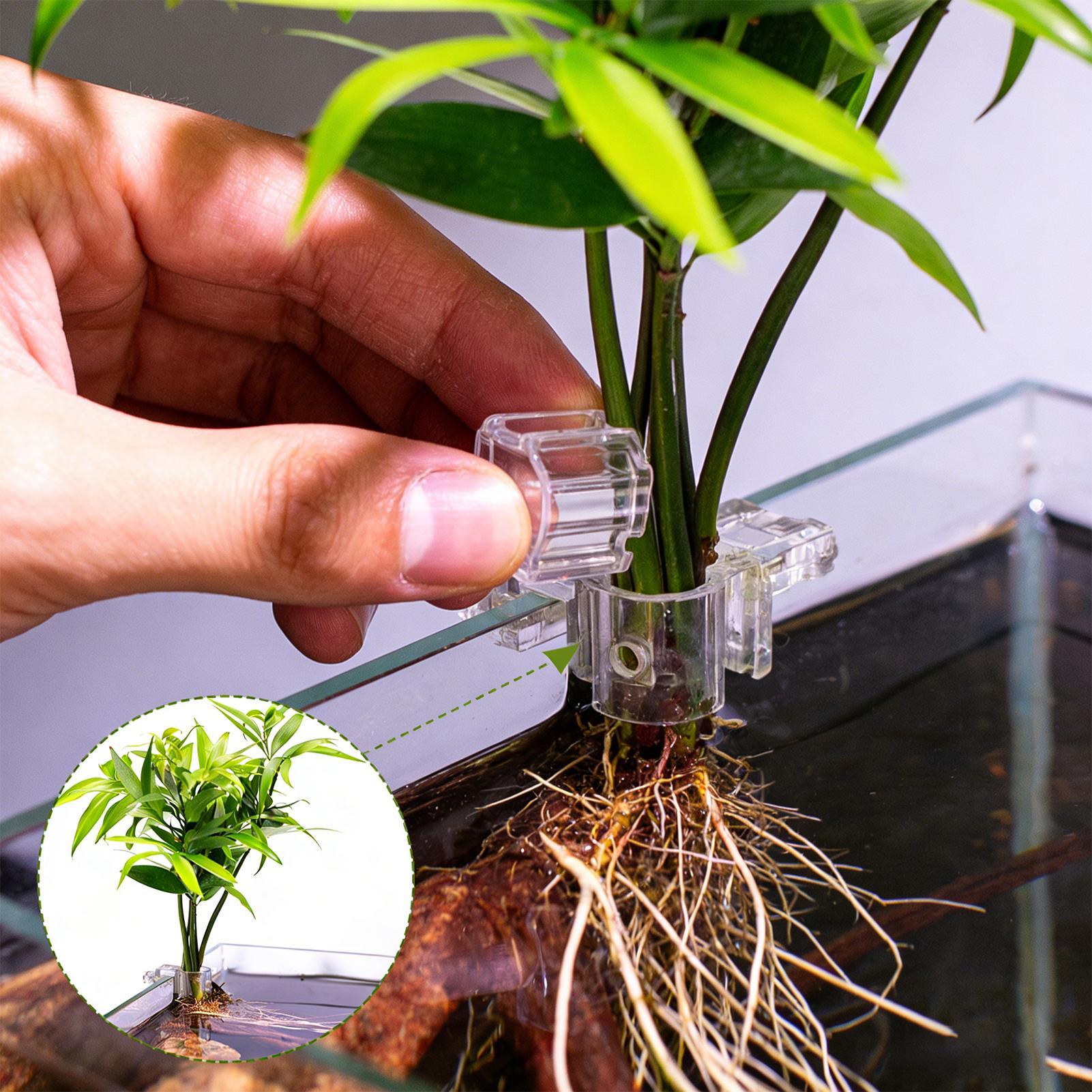 Aquariumplantenmand Transparan - Hanging Planter Basket recensie en prijs