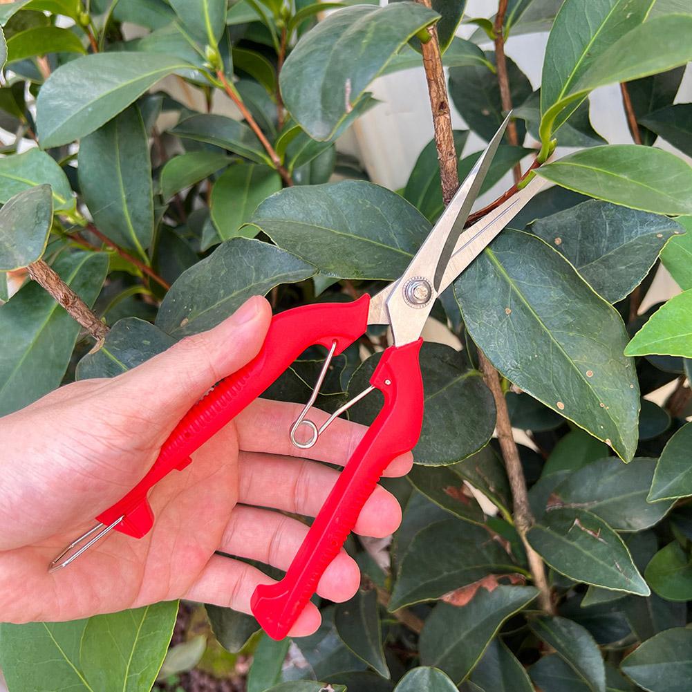 Pro Garden snoeischaar Verleng - Gardening Tools Basic recensie en prijs