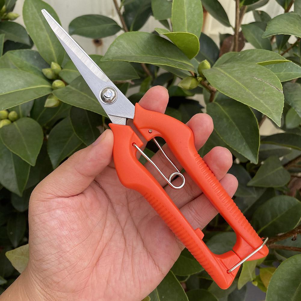Pro Garden snoeischaar Verleng - Gardening Tools Basic recensie en prijs