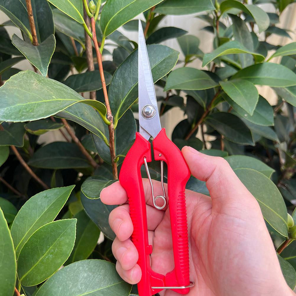 Pro Garden snoeischaar Verleng - Gardening Tools Basic recensie en prijs