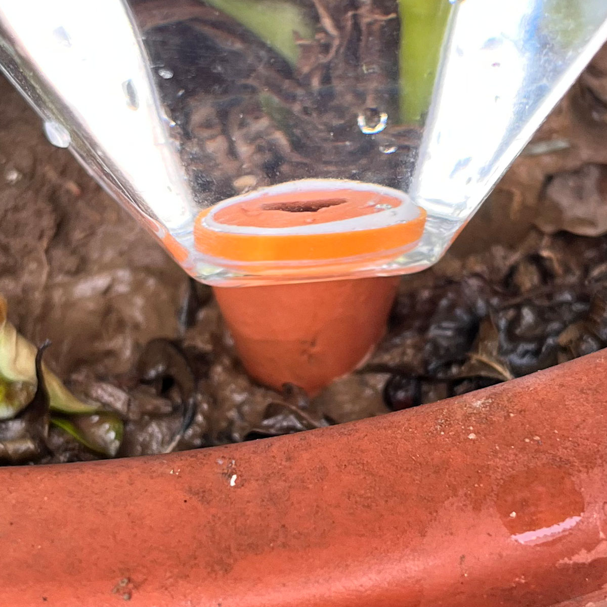 1 stks Leuke Plastic Watering  - Automatic Plant Waterer recensie en prijs