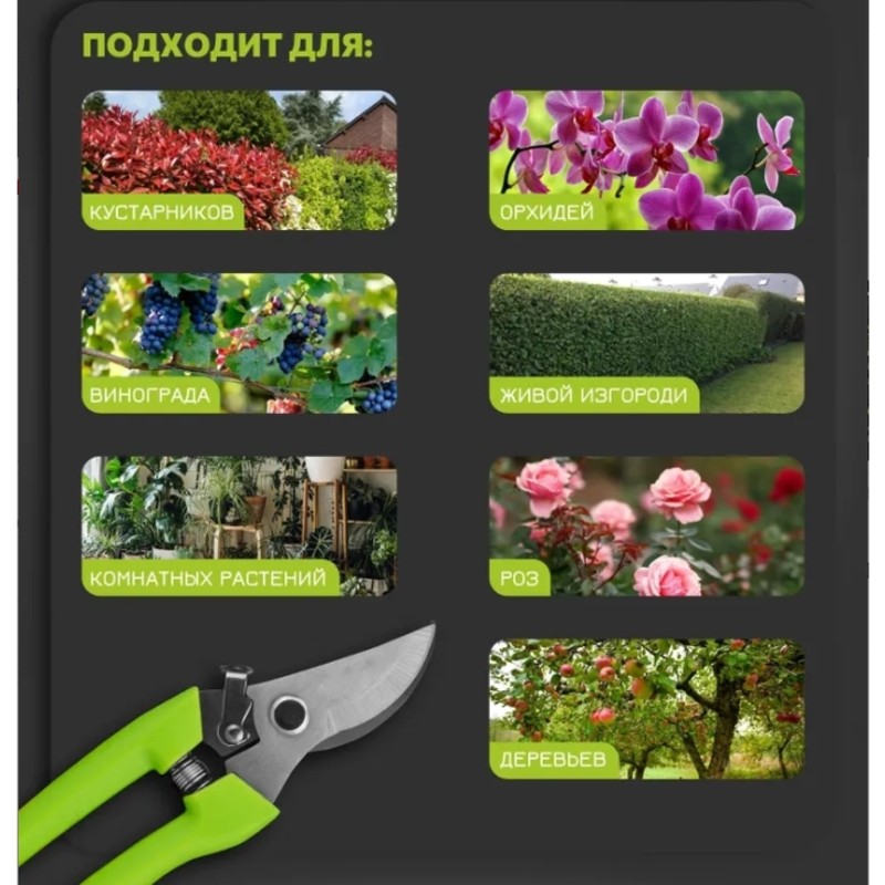 【PRIJSVERLAGE】Tuintrimmer 172  - Gardening Tools Price recensie en prijs