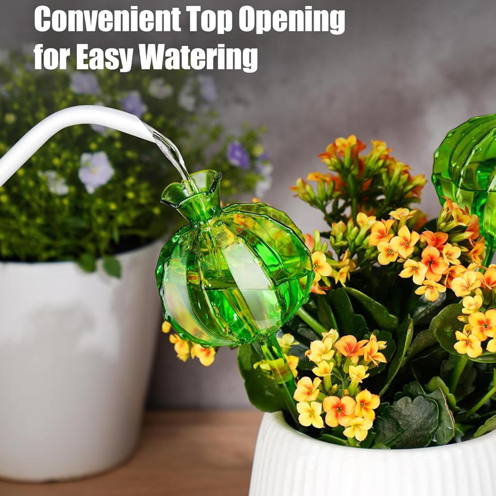 Plantenbewateringsbollen 3 stu - Automatic Plant Waterer recensie en prijs